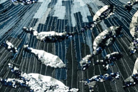 Студенты МАУ — участники проекта «Тепло Тавриды»